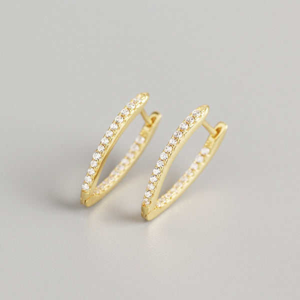 Elegant Teardrop Hoop Earrings